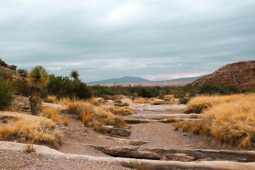 big bend nationaal park