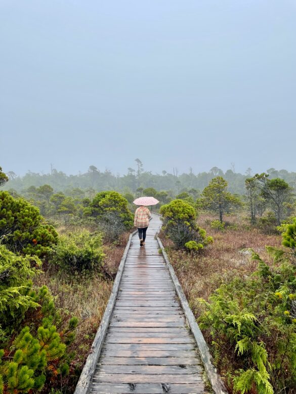 Pacific Rim National Park Reserve, British Columbia